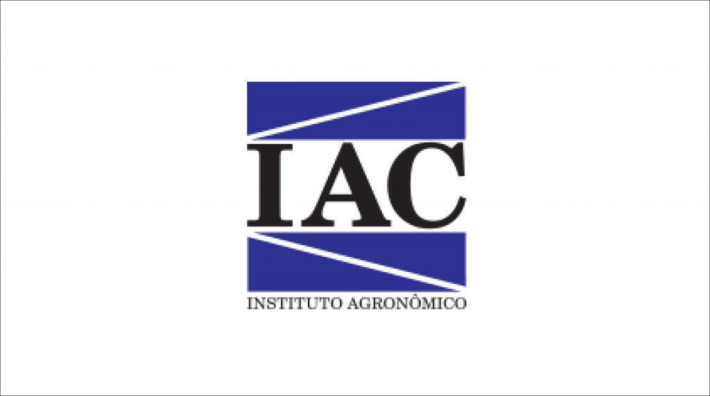 Pesquisa sobre a germinação da macaúba.
