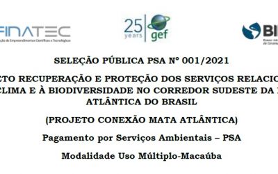 Governo de SP lança edital para “Pagamentos por Serviços Ambientais (PSA)” através do plantio da macaúba na região do Vale do Paraíba