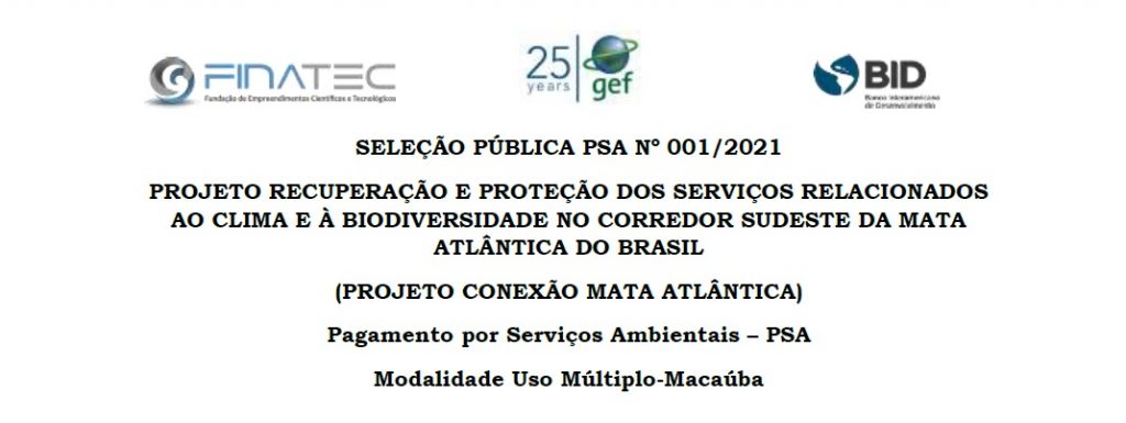 Governo de SP lança edital para “Pagamentos por Serviços Ambientais (PSA)” através do plantio da macaúba na região do Vale do Paraíba